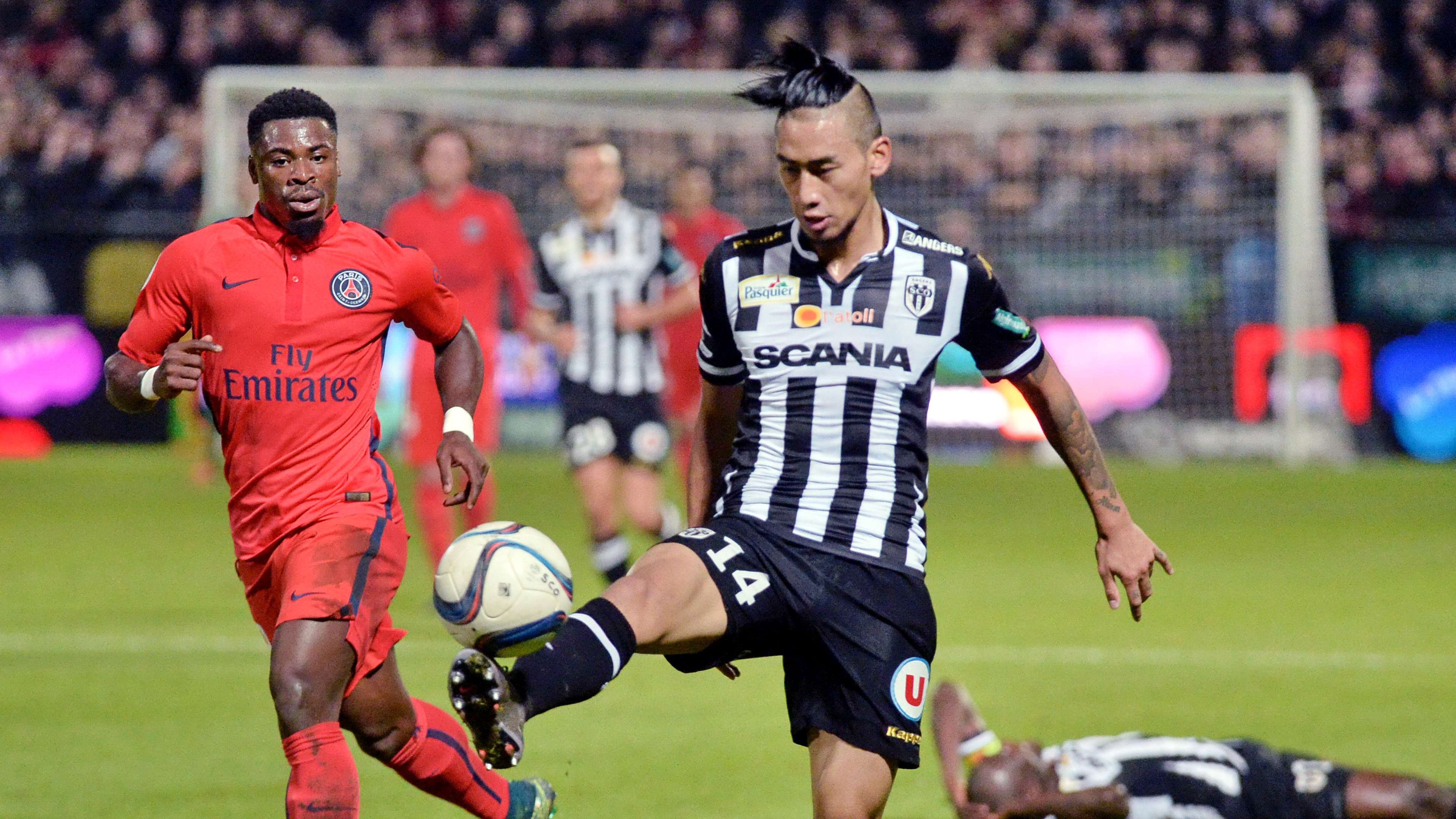 我们不仅能 我们不仅能