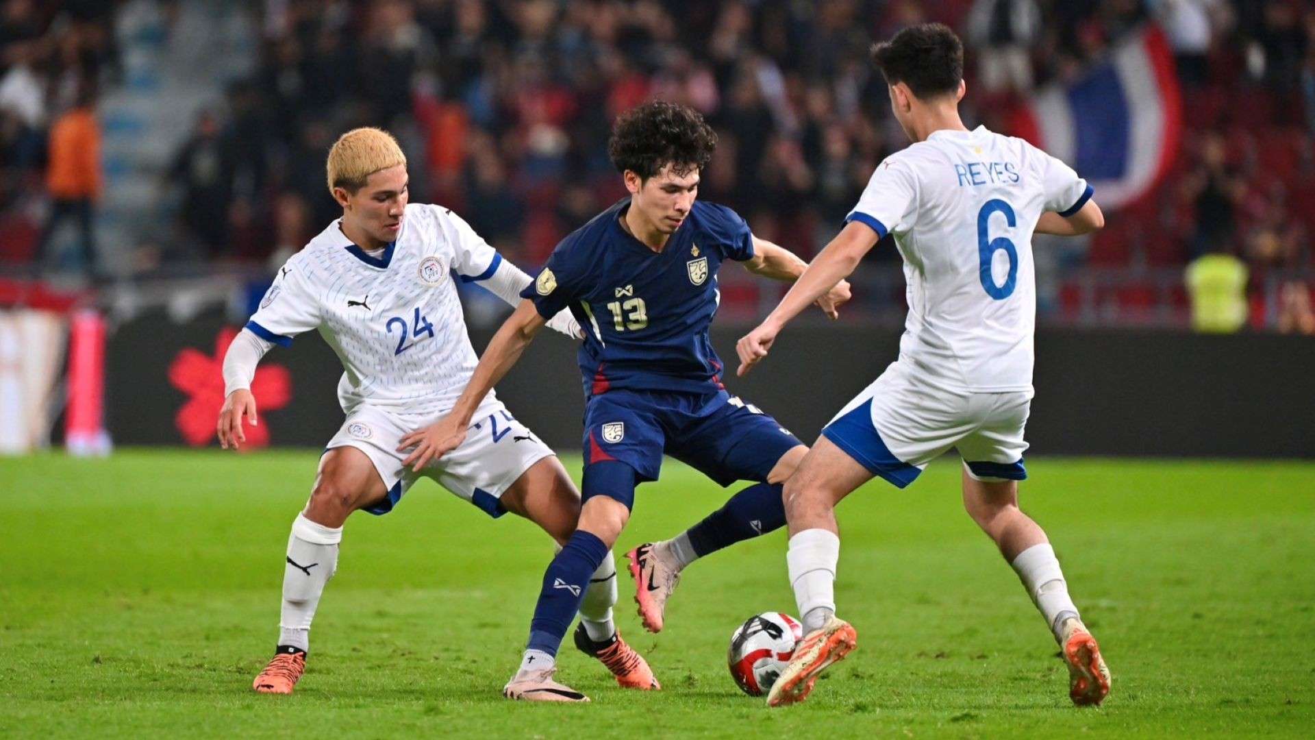 们能在未来 们能在未来